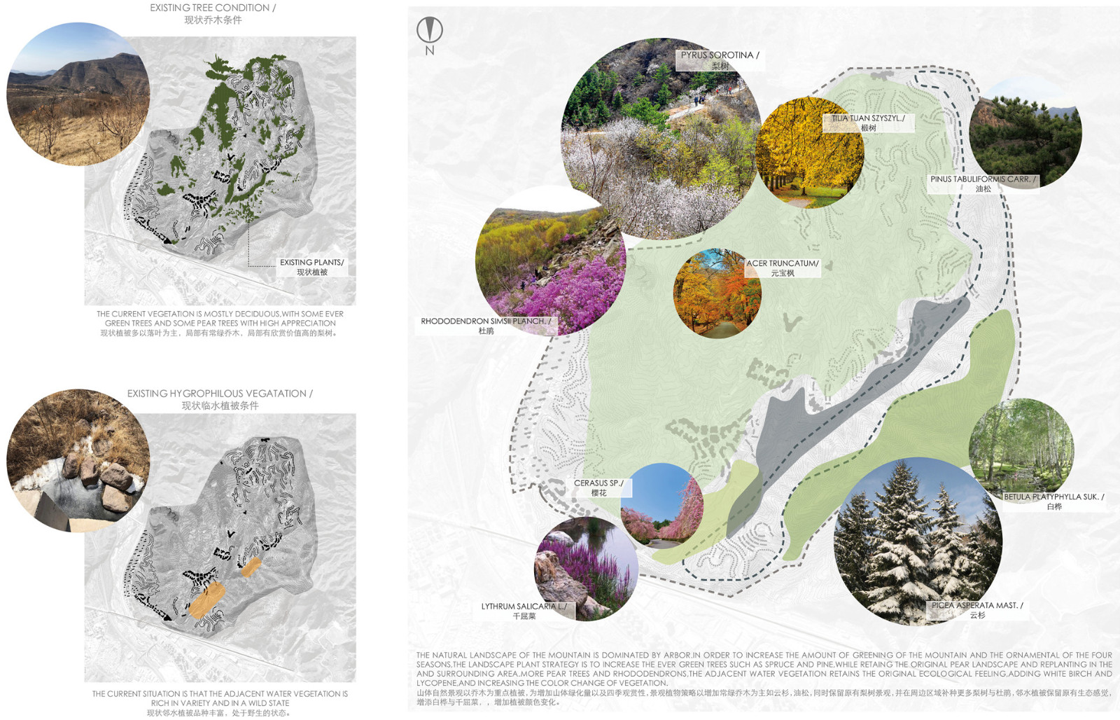 景觀四季植被設(shè)計landscape planting design1.jpg