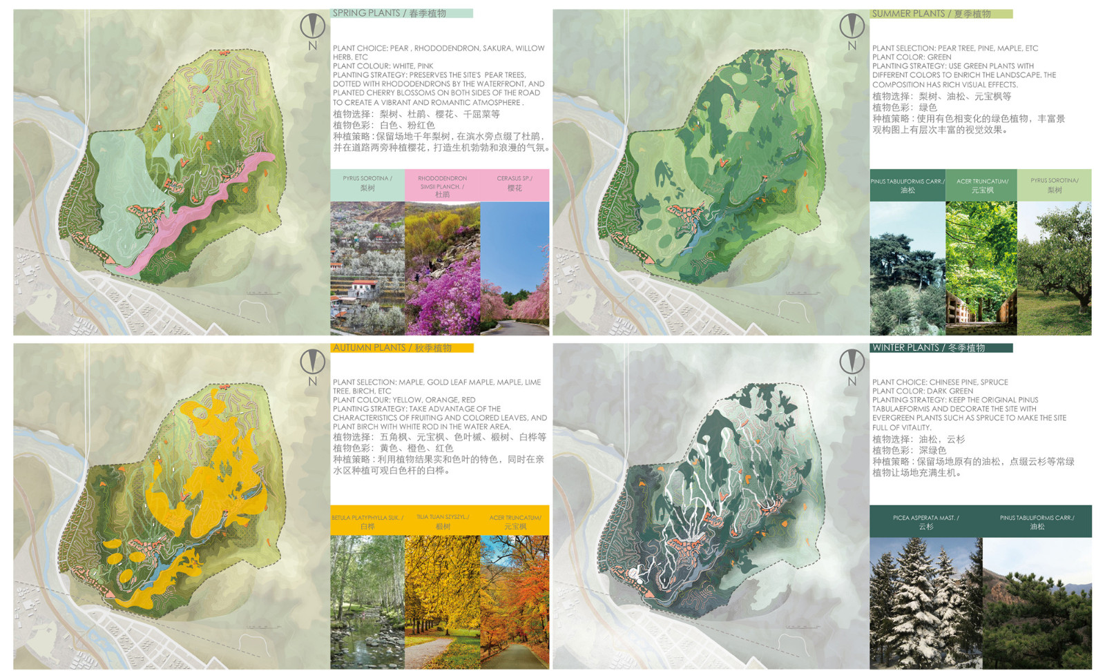 景觀四季植被設(shè)計landscape planting design2.jpg