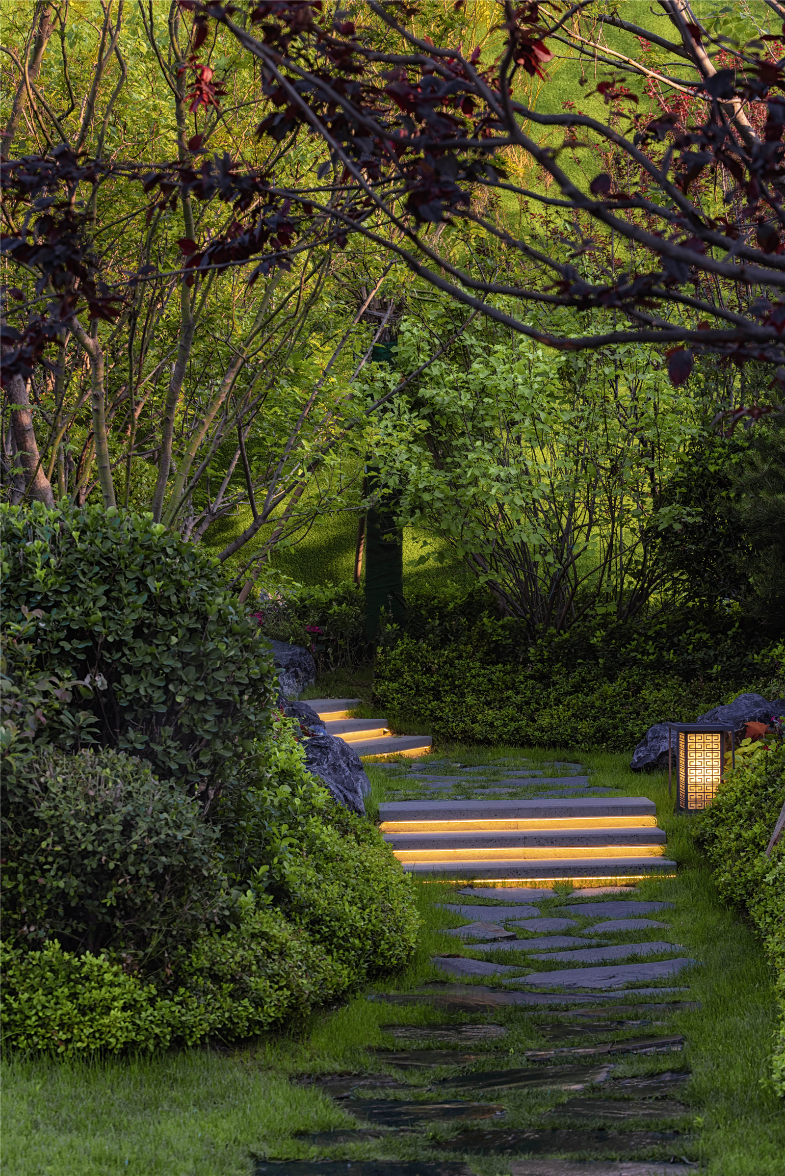 1623983240812199.jpg A10.jpg