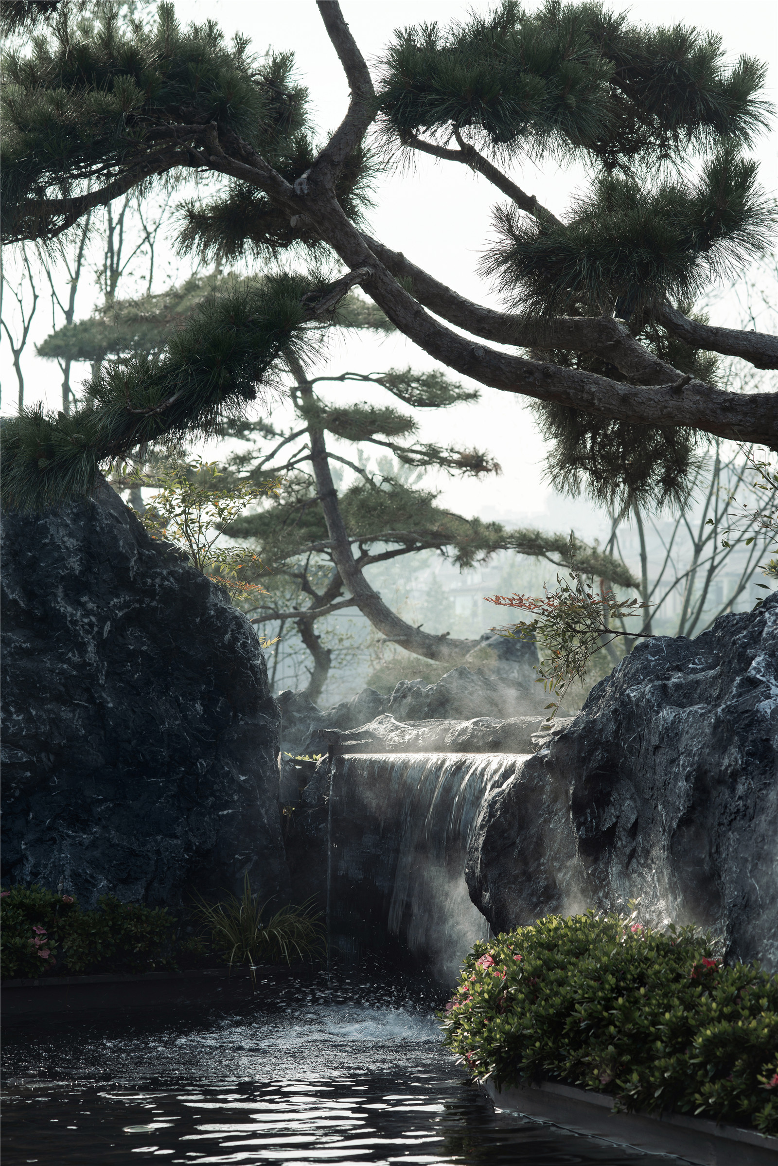 1623986449989727.jpg _DSC0383.jpg