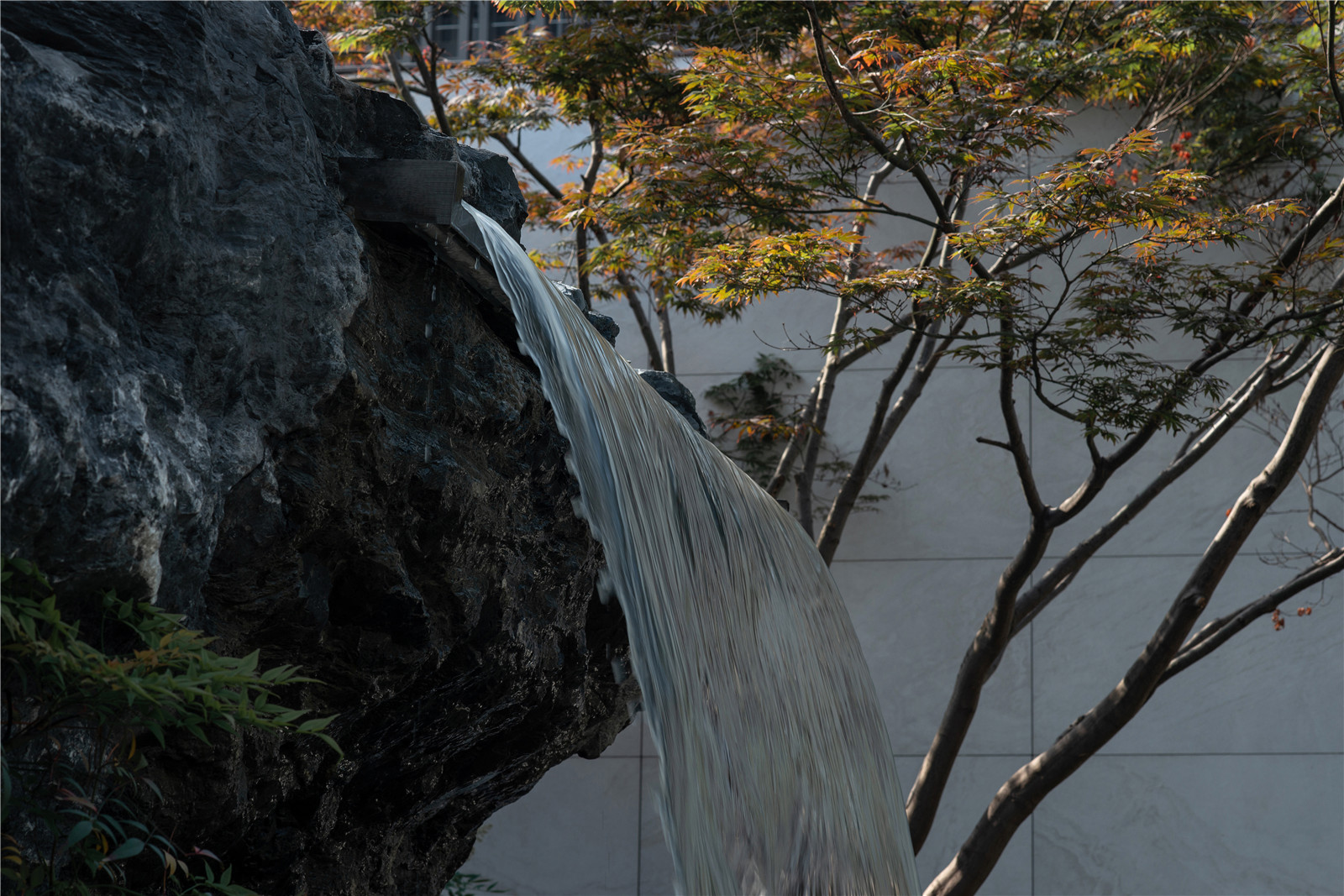 1623986777957379.jpg _DSC0446.jpg