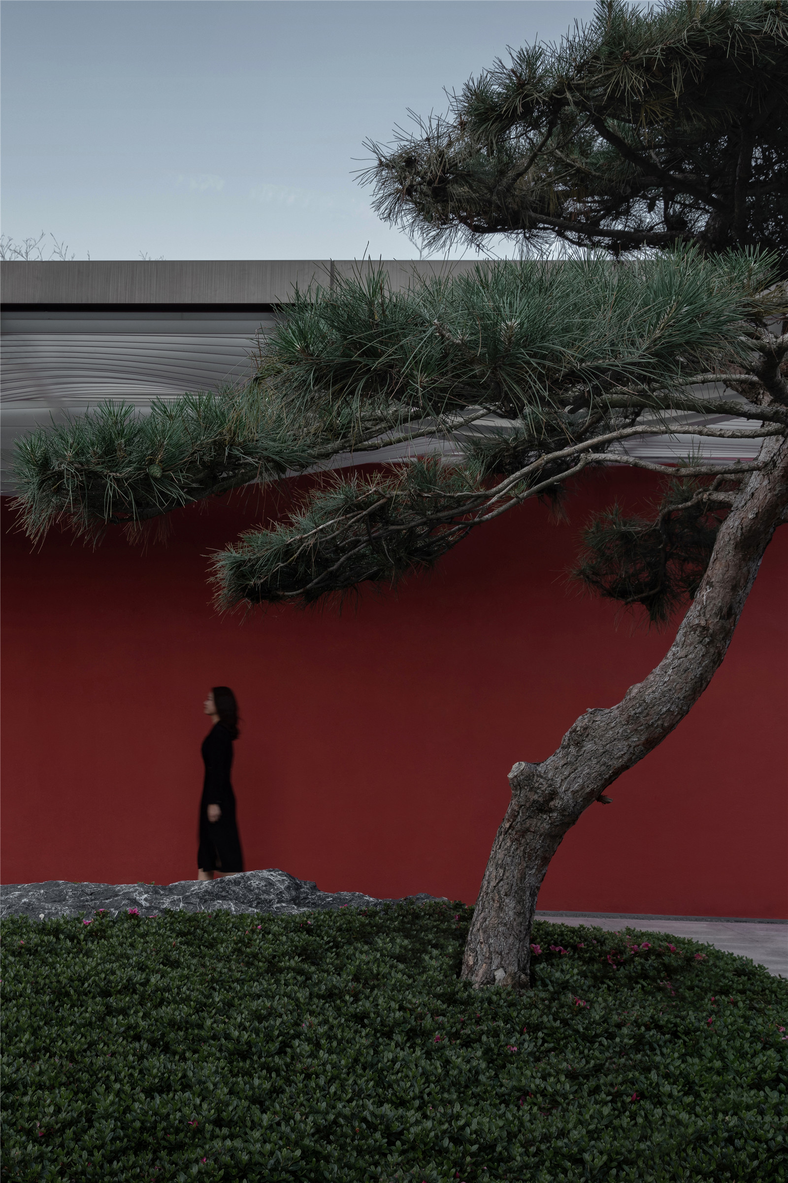 1623986818807462.jpg DSCF4818.jpg