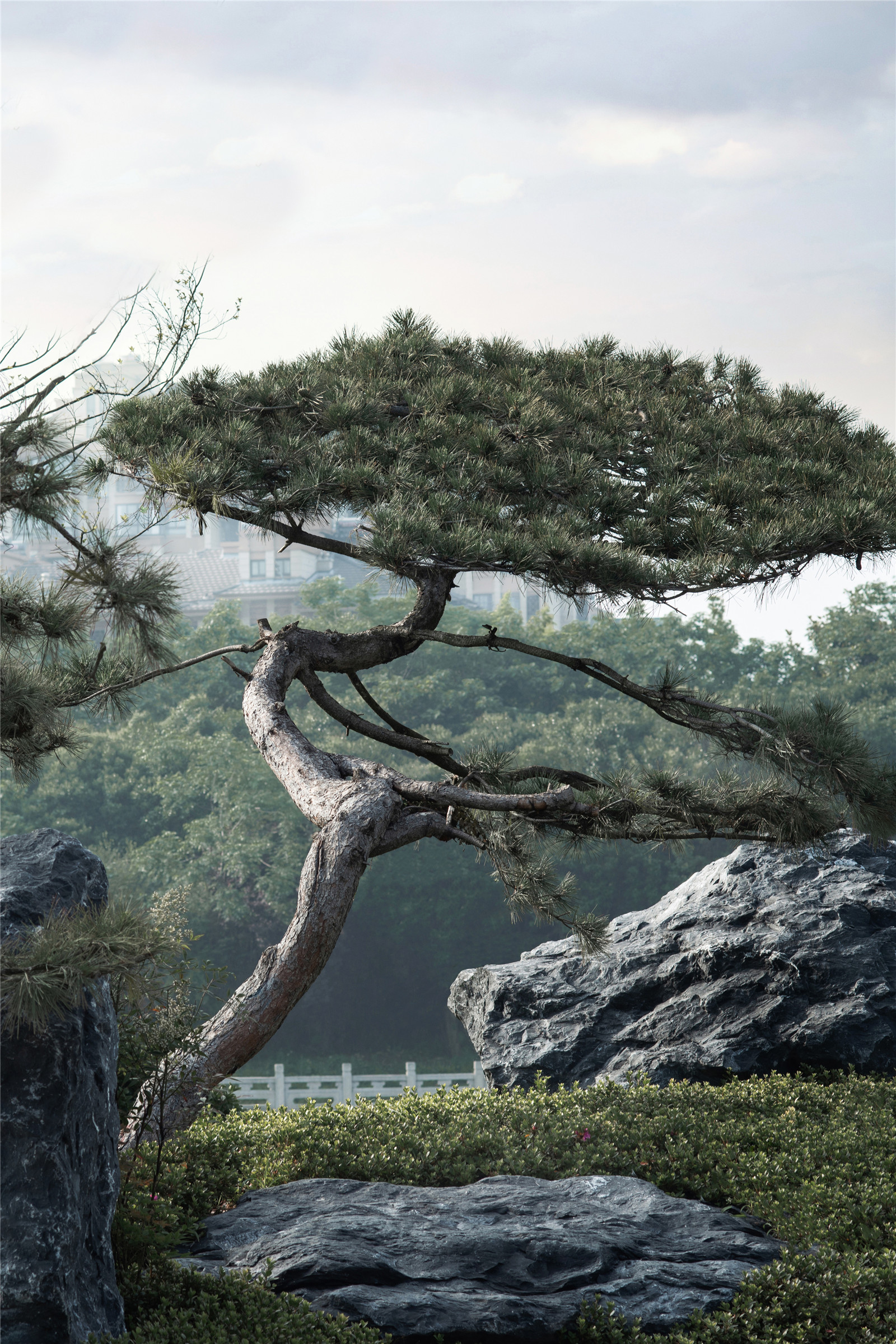 1623987069277150.jpg _DSC0378.jpg