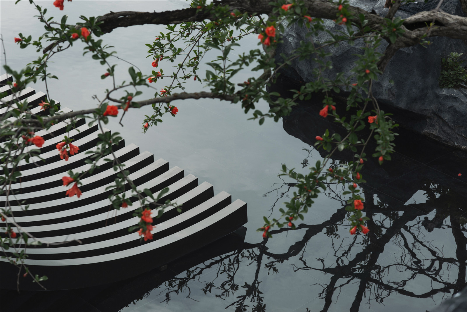 1623987207691447.jpg _DSC0179.jpg