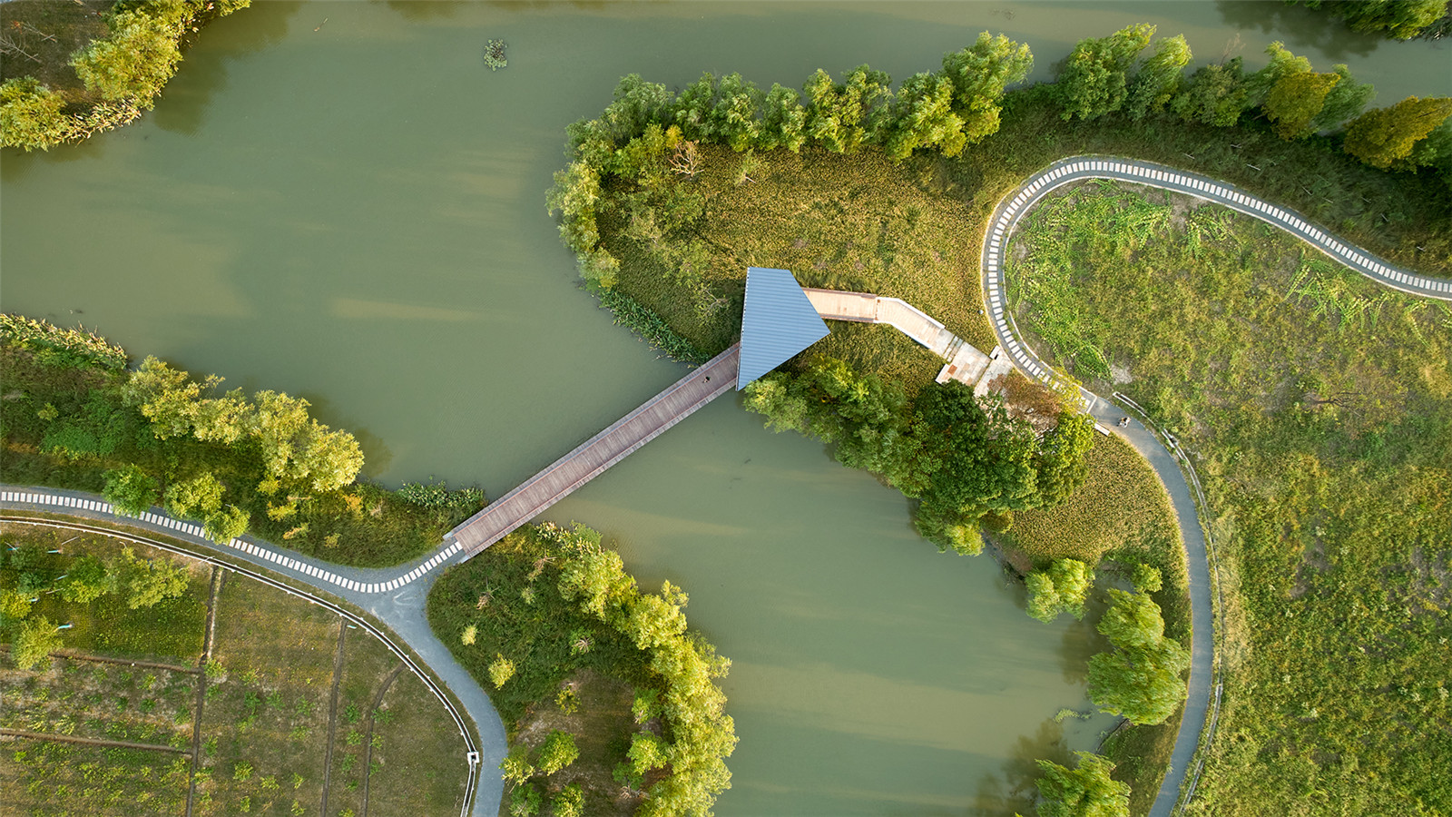 1624864237386857.jpg 俯視.jpg