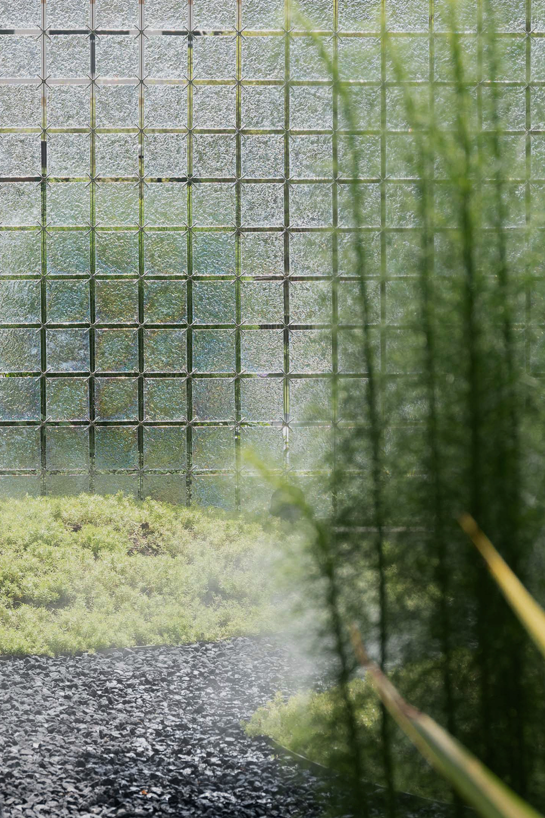 1624871159650056.jpg 2.jpg