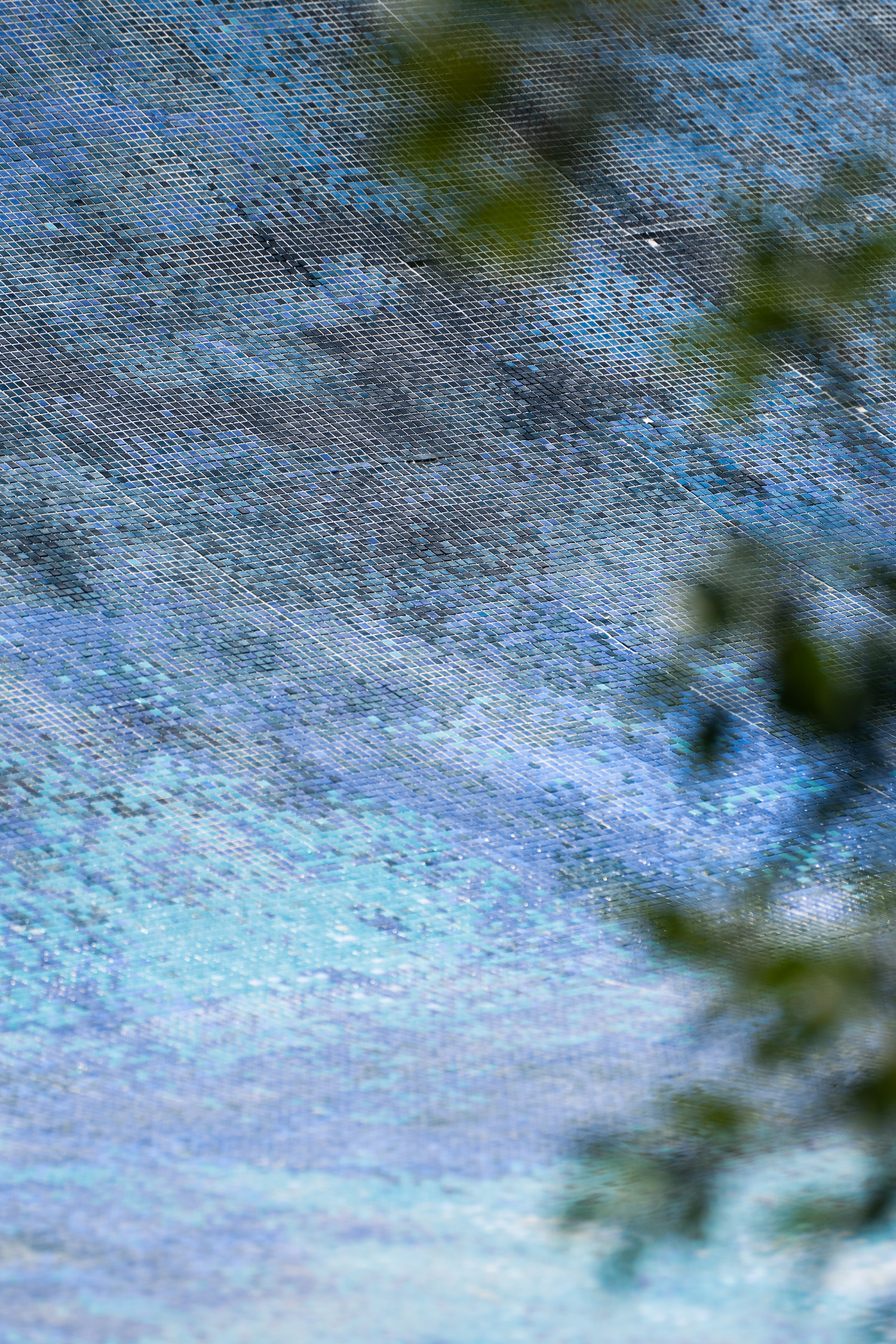 1627373148229865.jpg DSCF0760-.jpg