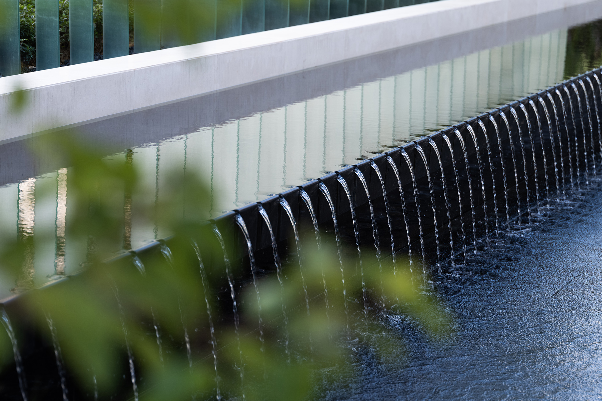 1627374639424300.jpg DSCF0584.jpg