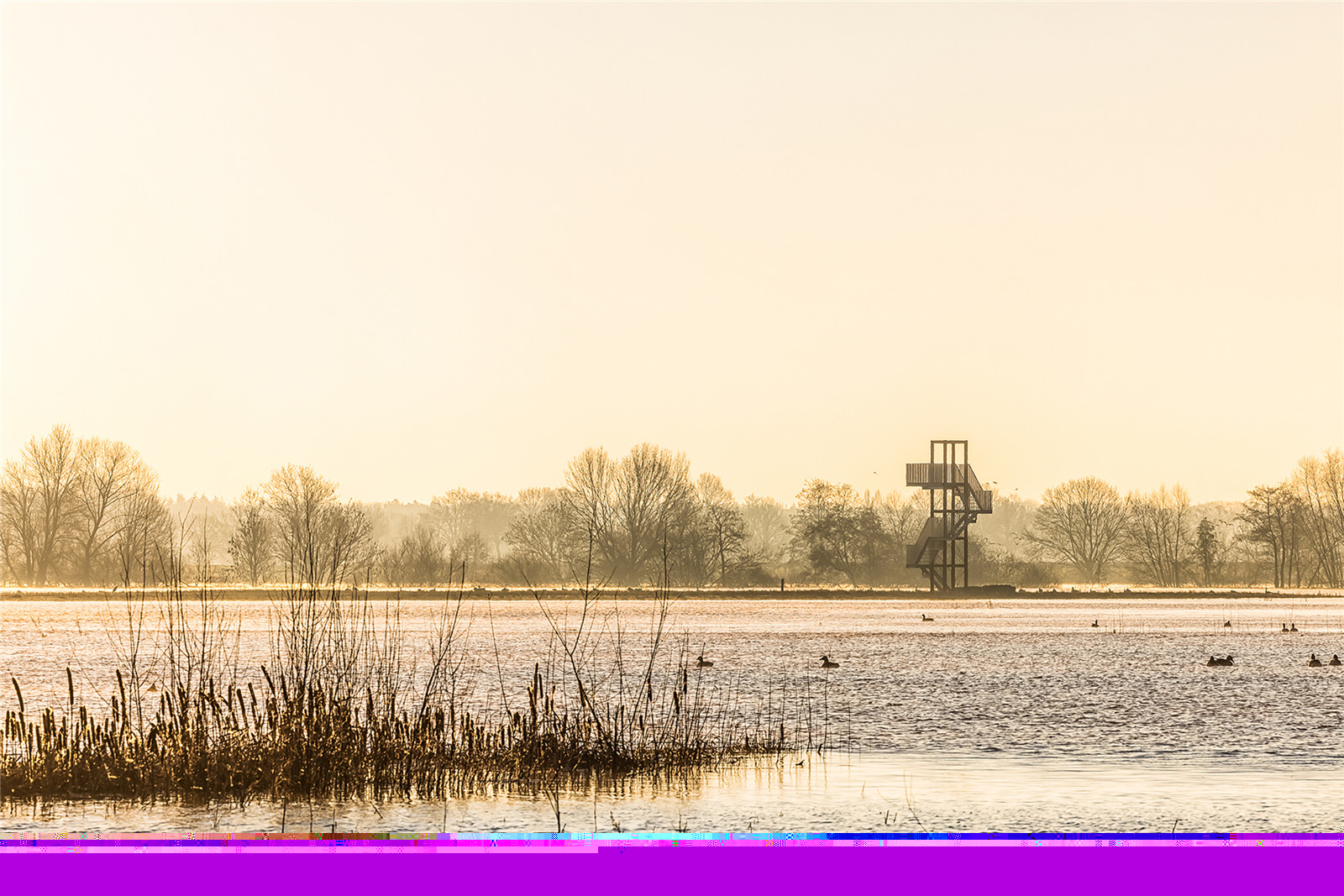 look out tower at high tide_foto paul poels.jpg