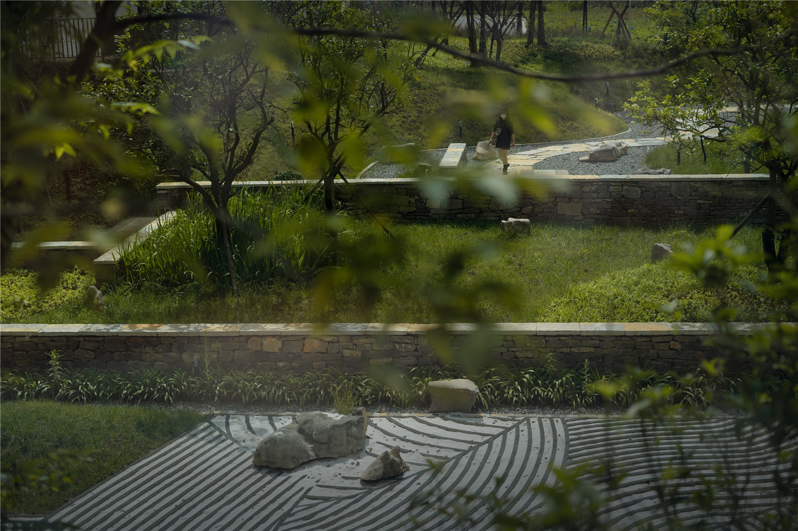 1629465002534230.jpg 自然花園78.jpg