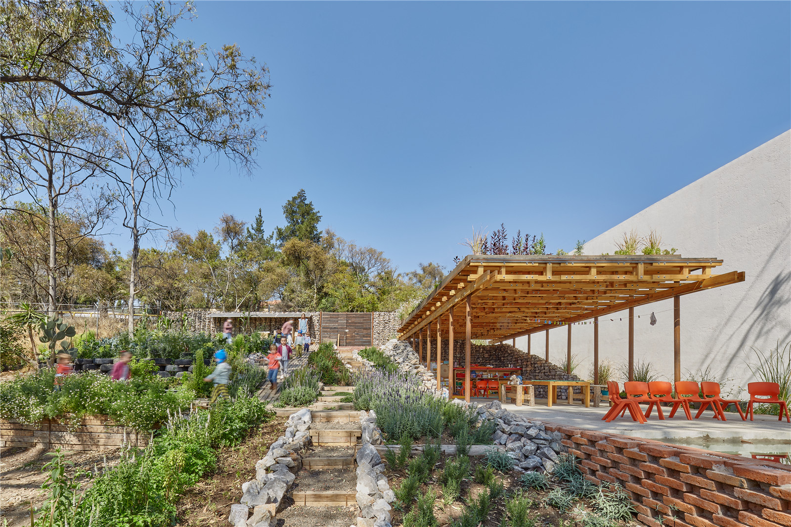 1630054916957875.jpg EL TERRENO_VERTEBRAL_20.jpg