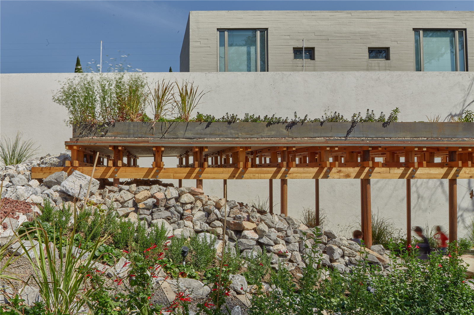 1630055016865795.jpg EL TERRENO_VERTEBRAL_27.jpg