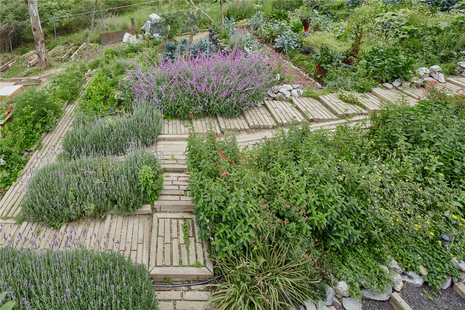 1630055197373152.jpg EL TERRENO_VERTEBRAL_09.jpg