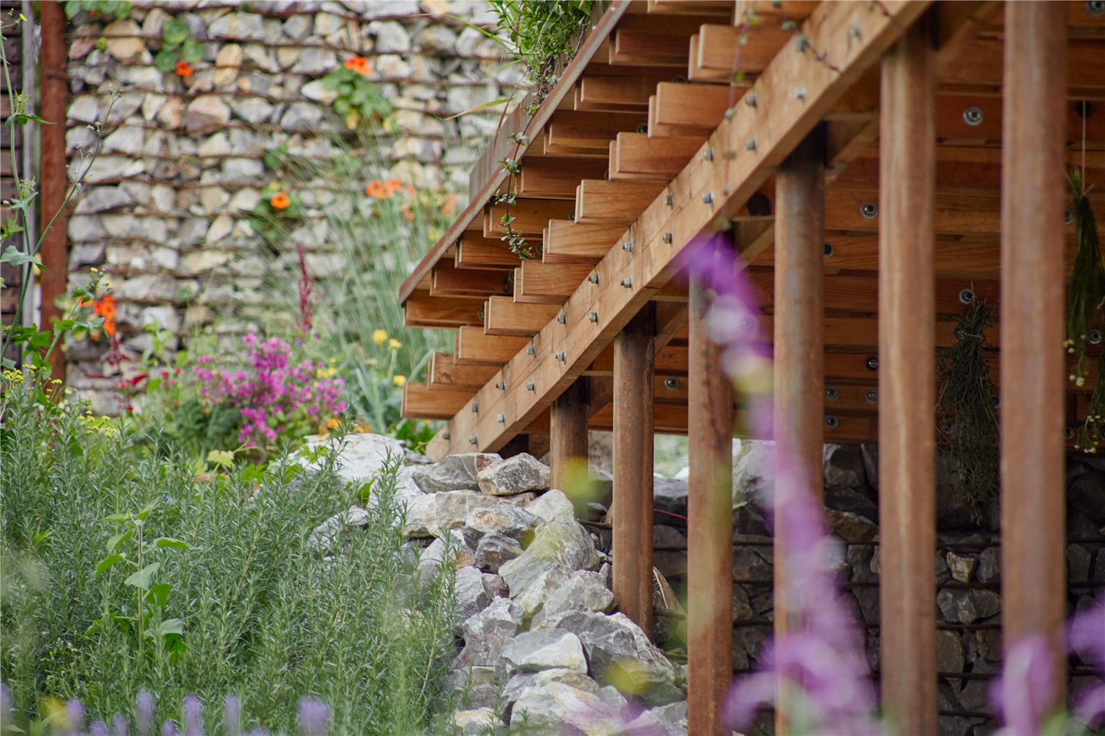 1630055218856310.jpg EL TERRENO_VERTEBRAL_01.jpg