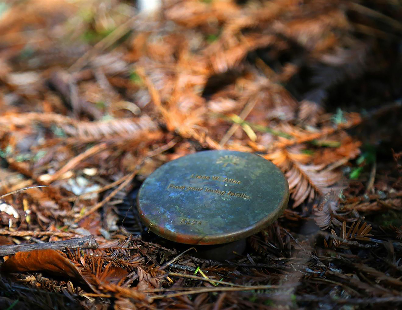 1632644743815922.jpg BPF-11-2500.jpg