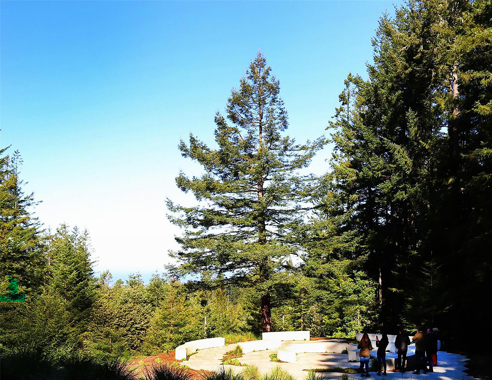 1632644791540631.jpg BPF-7-2500.jpg