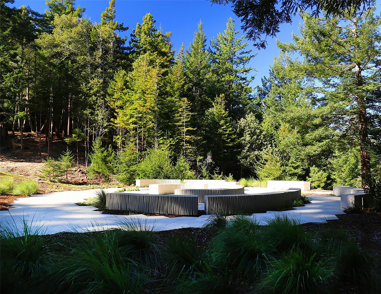 1632644901828564.jpg BPF-8-2500.jpg