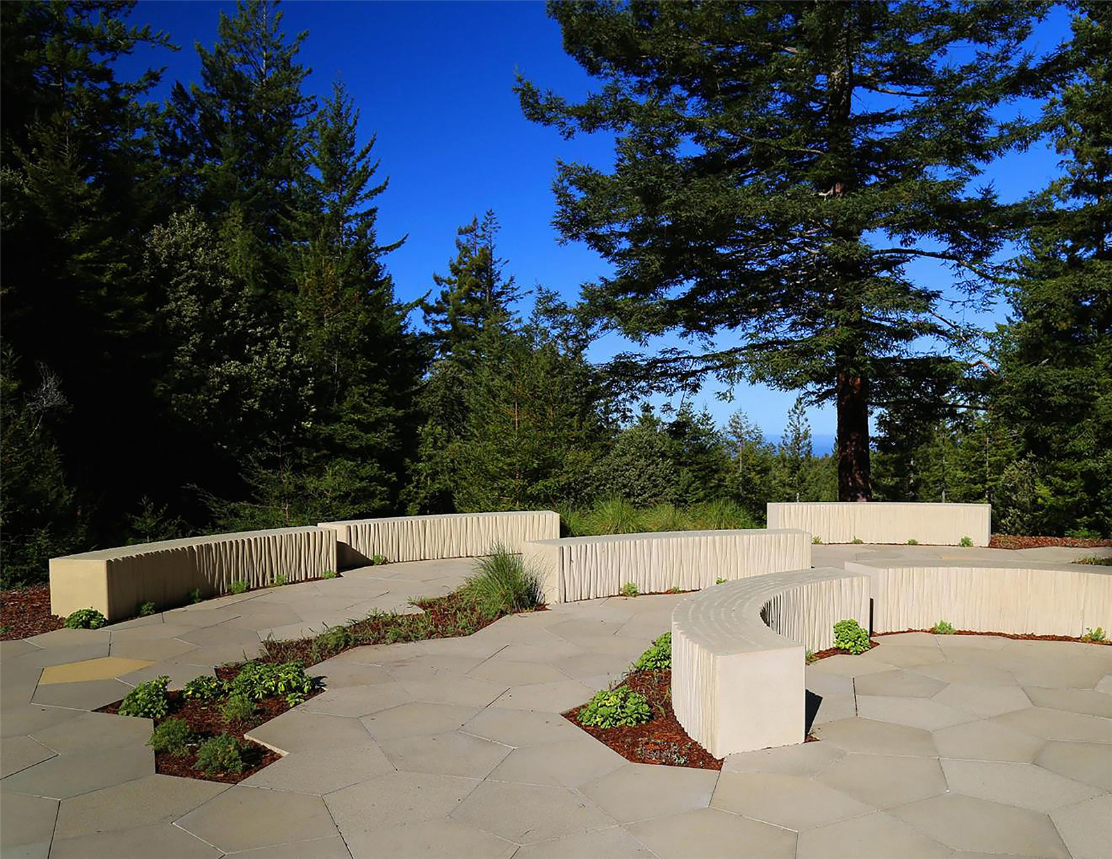 1632644913961082.jpg BPF-9-2500.jpg