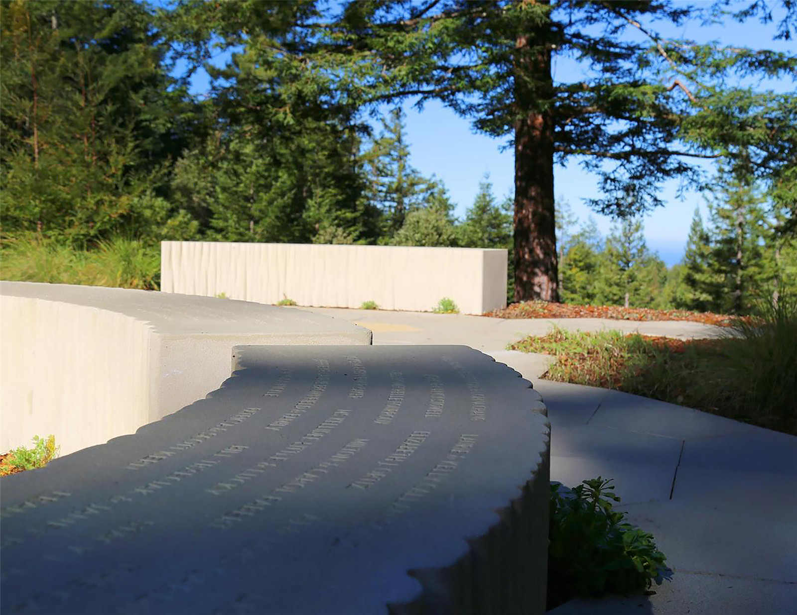 1632644927420766.jpg BPF-10-2500.jpg