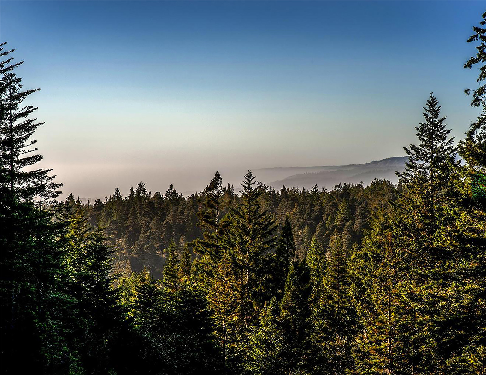 1632644973877931.jpg BPF-15-2500.jpg