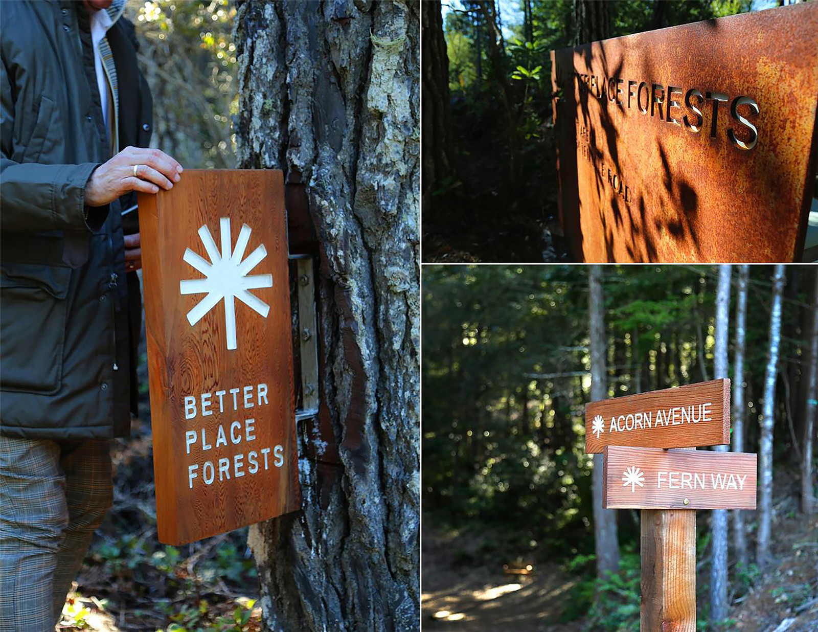 1632644994440160.jpg BPF-12-2500.jpg