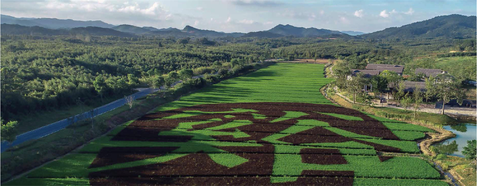 03 園區(qū)實(shí)景 ?融創(chuàng).jpg