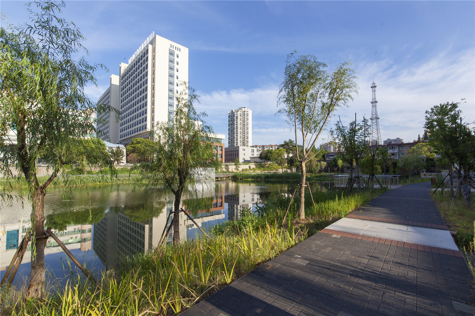 06 臺(tái)地旁邊是親水步道，營(yíng)造漫步水岸邊的感覺 ?焦冬子.jpg