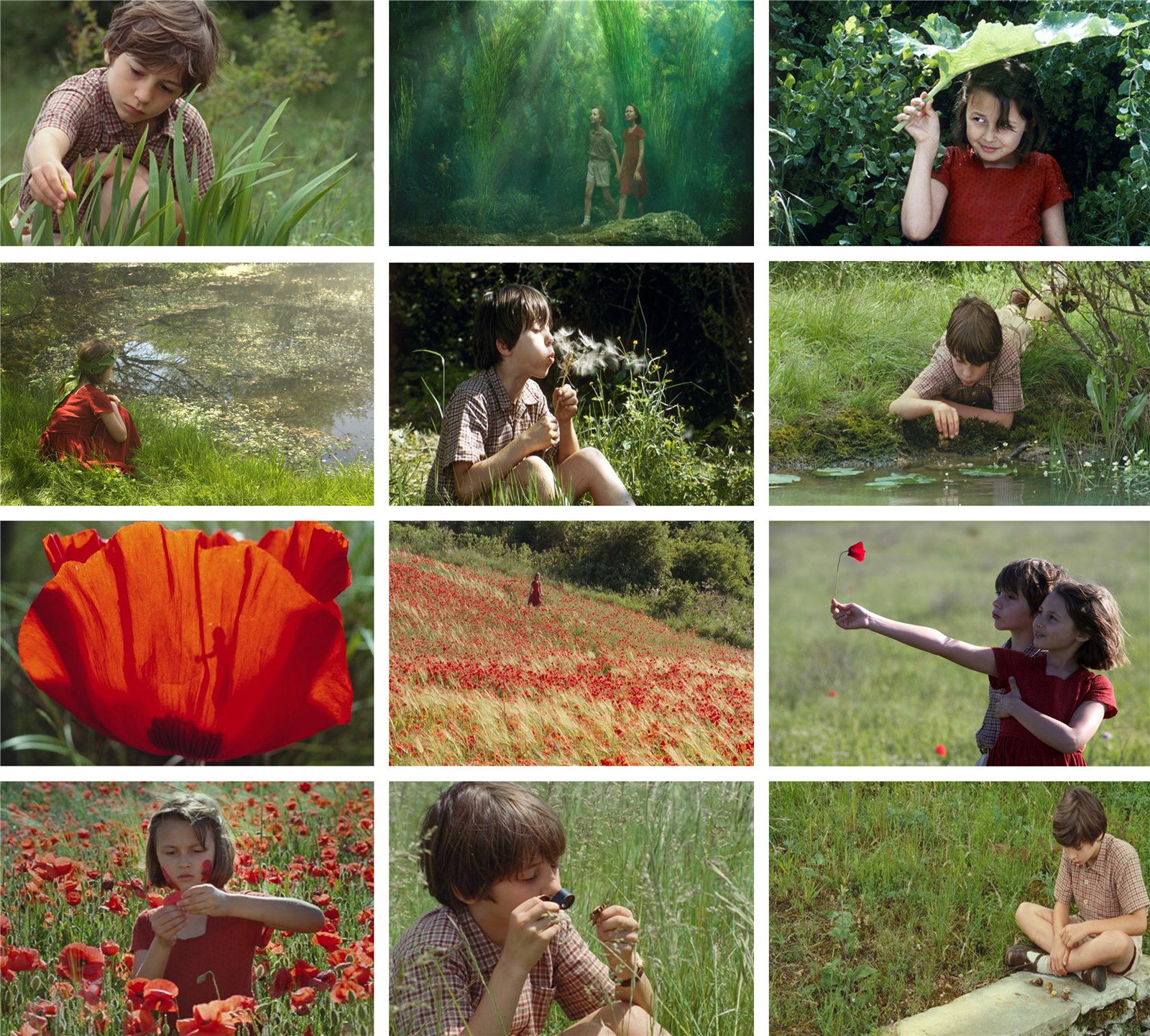 1636444519230666.jpg 12宮格圖電影截屏.jpg