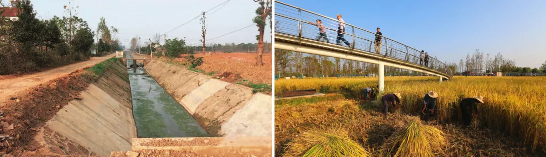 1640661534807356.png 圖片10.png