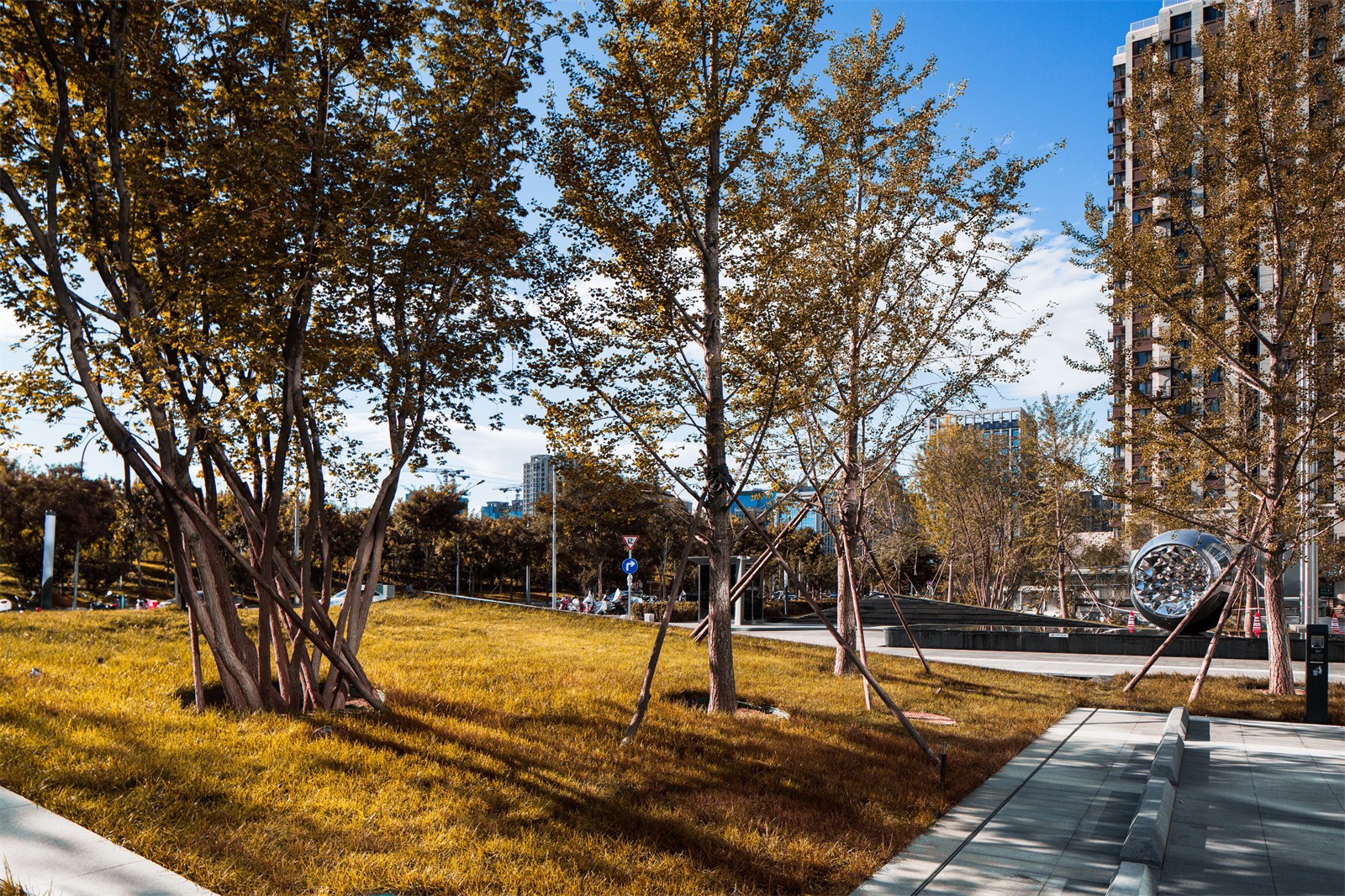 1640920983738057.jpg 2.jpg