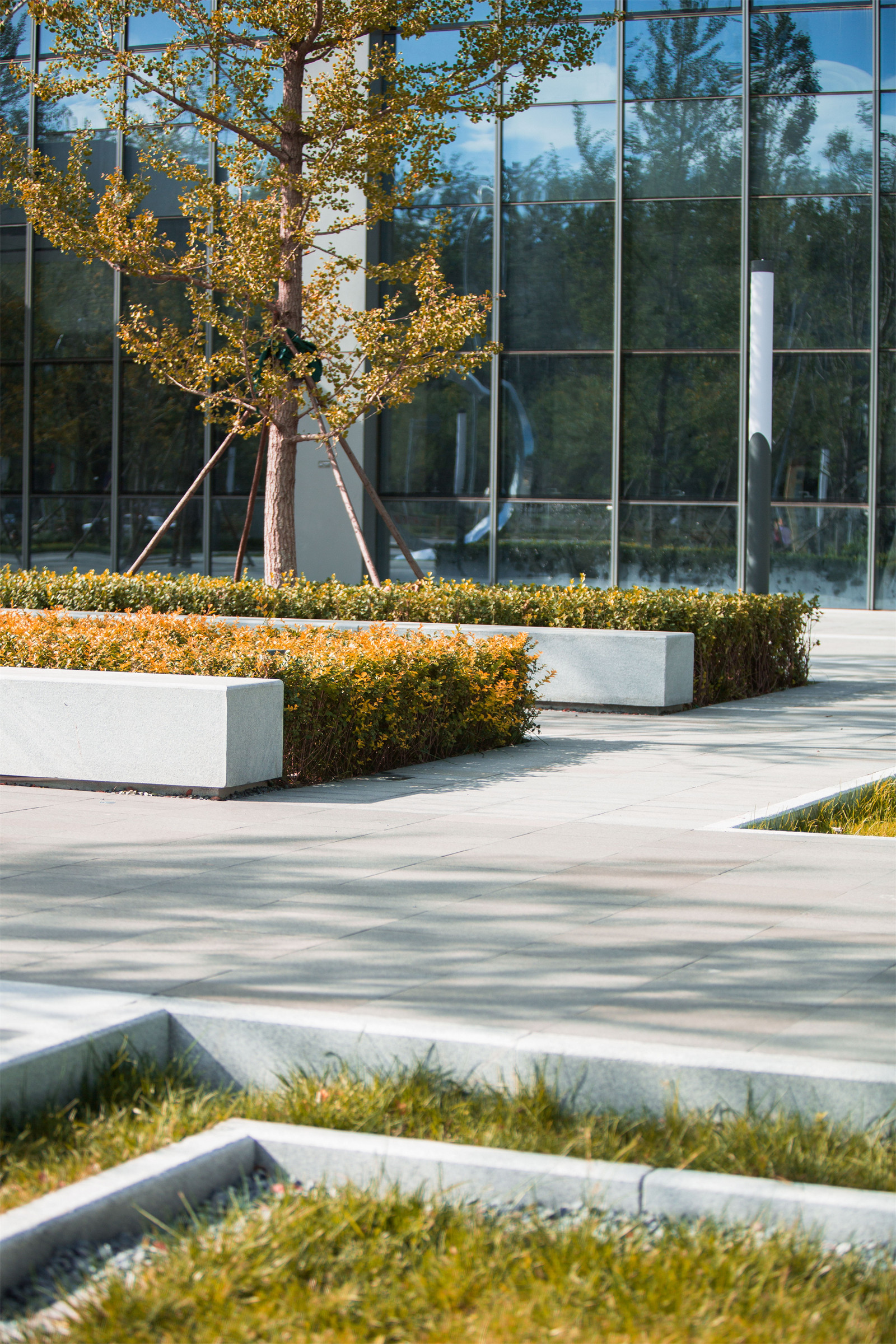 1640921158557920.jpg 5.jpg