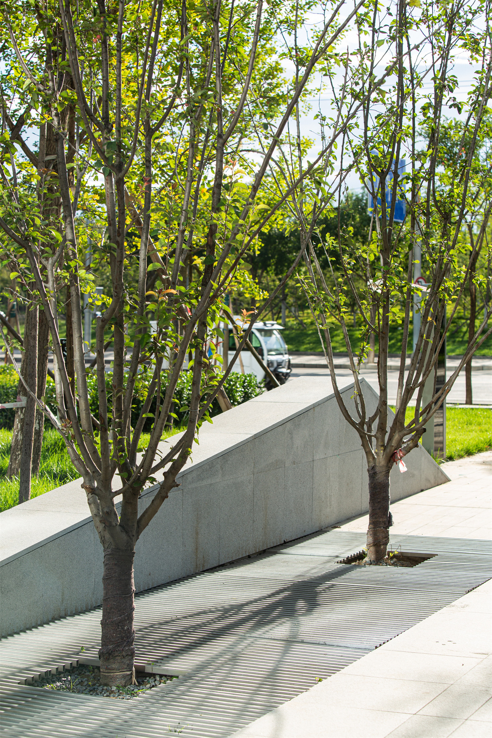 1640921396334830.jpg 8.jpg