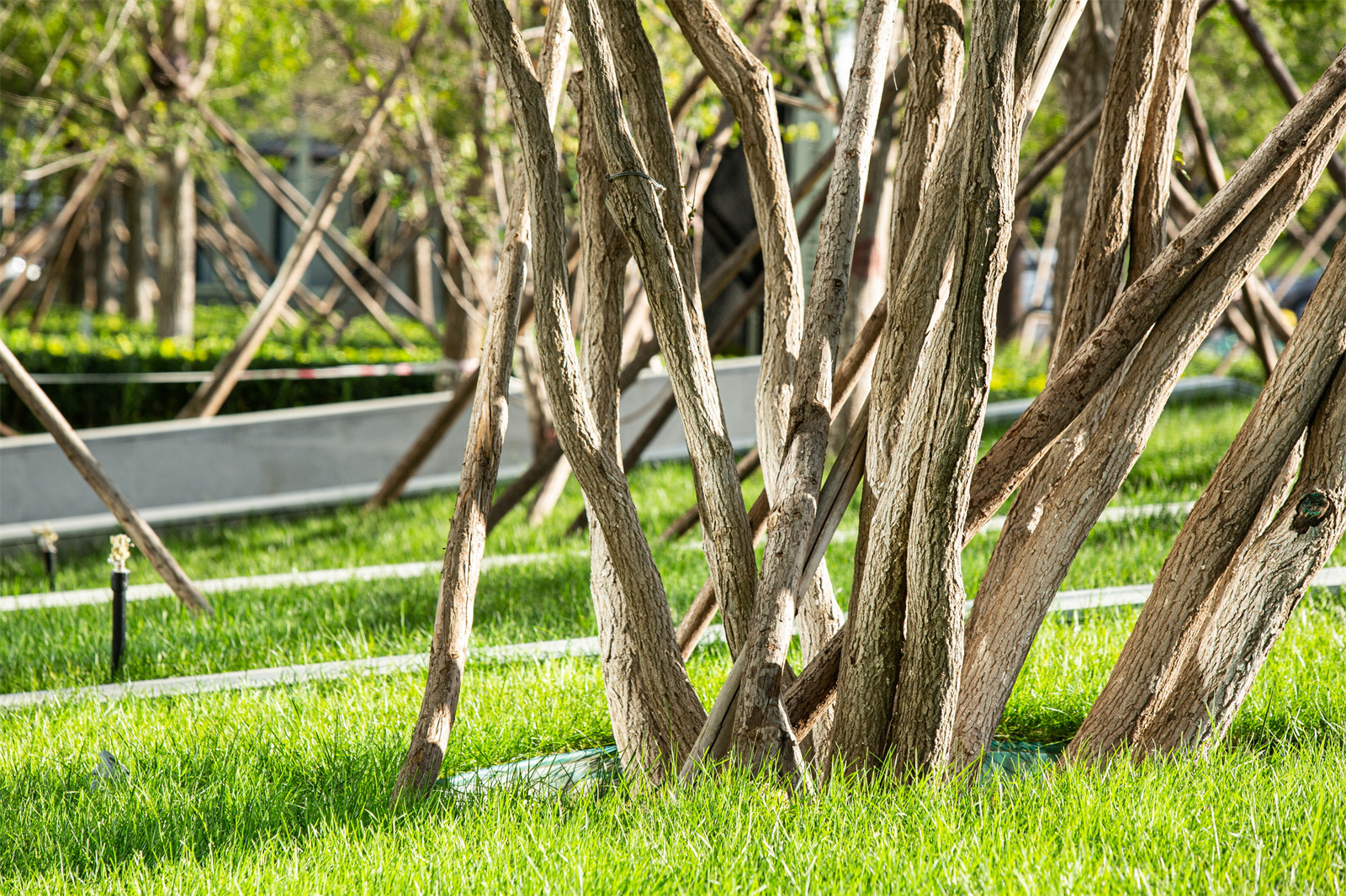 1640921454822545.jpg 9.jpg