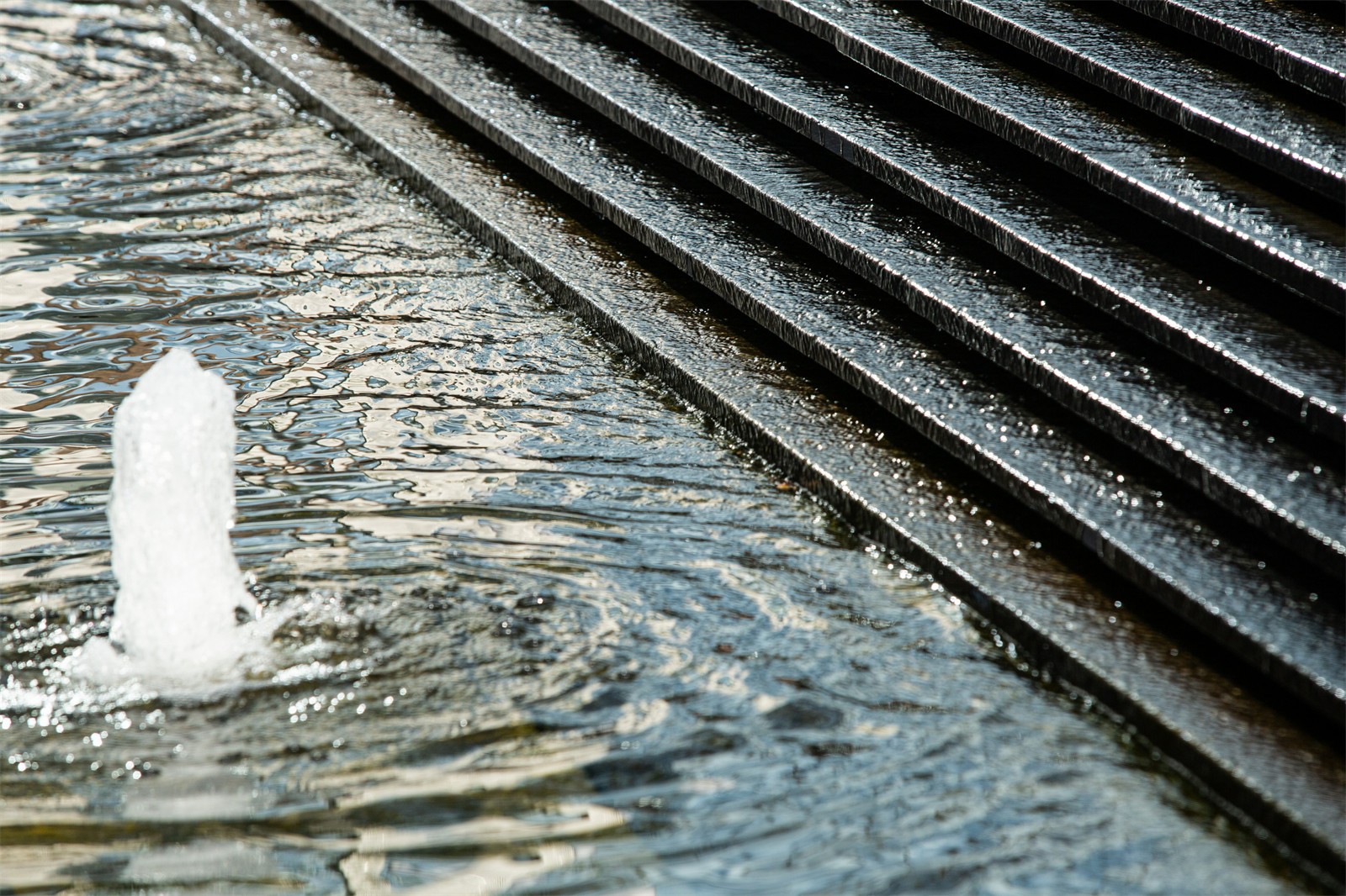 1640921822527091.jpg 11.jpg