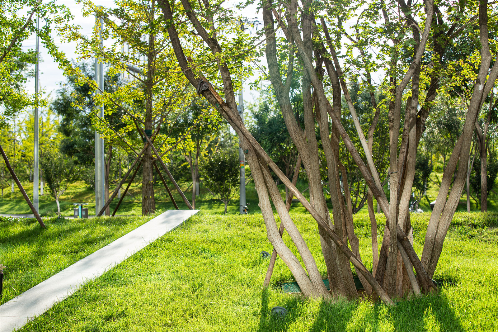 1640921931243637.jpg 13.jpg