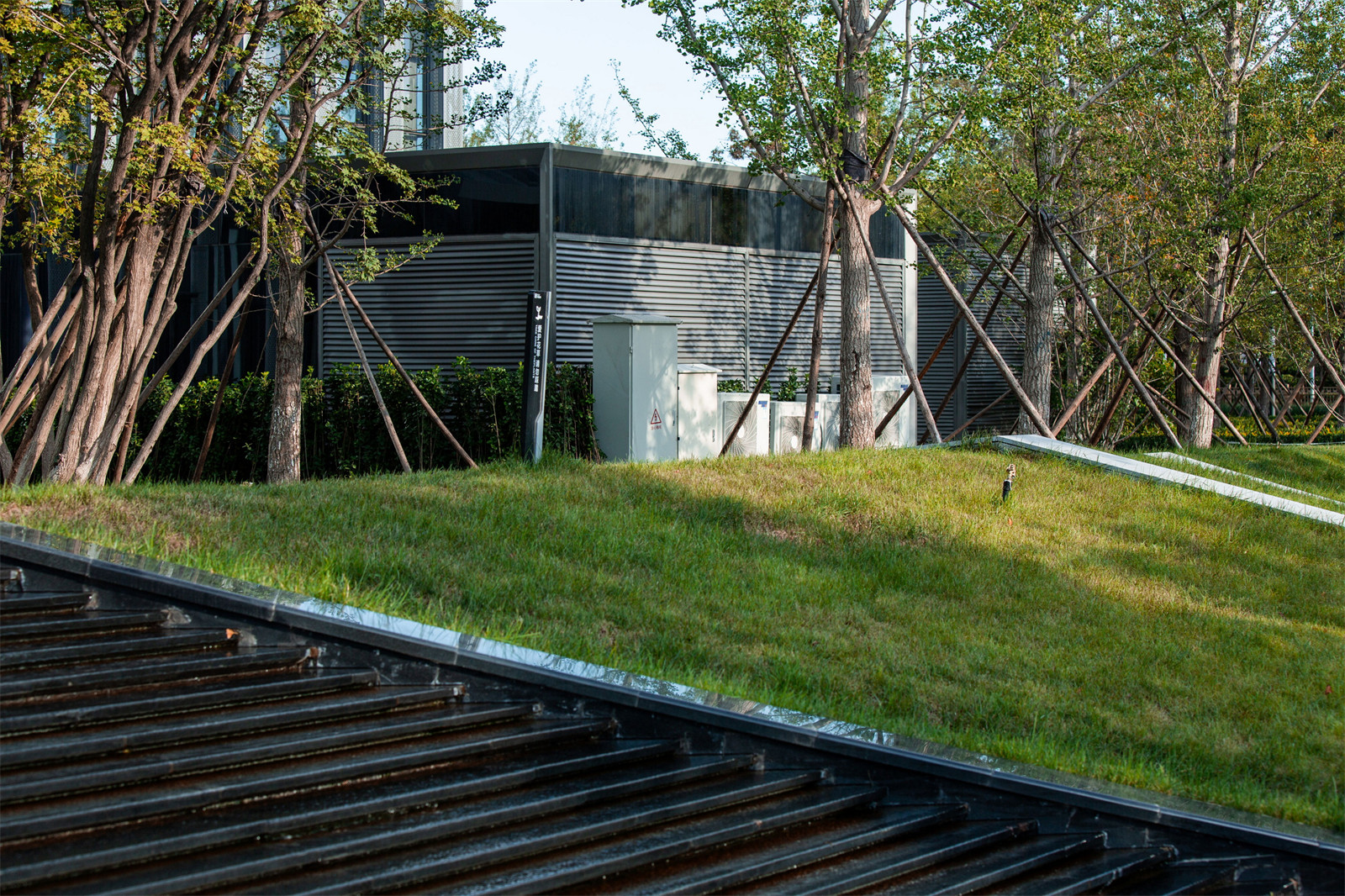 1640921950653887.jpg 14.jpg