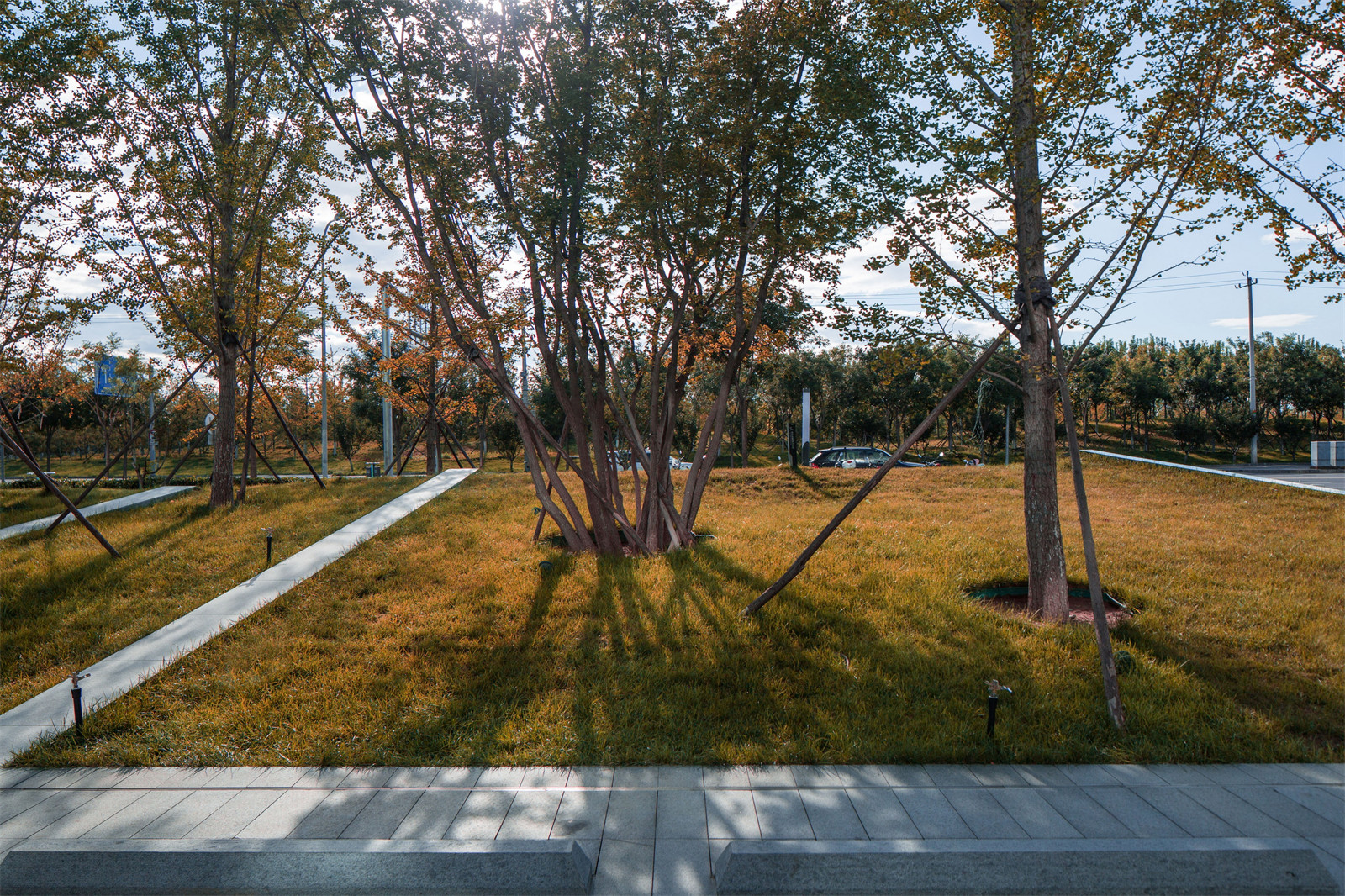 1640921991564854.jpg 15.jpg