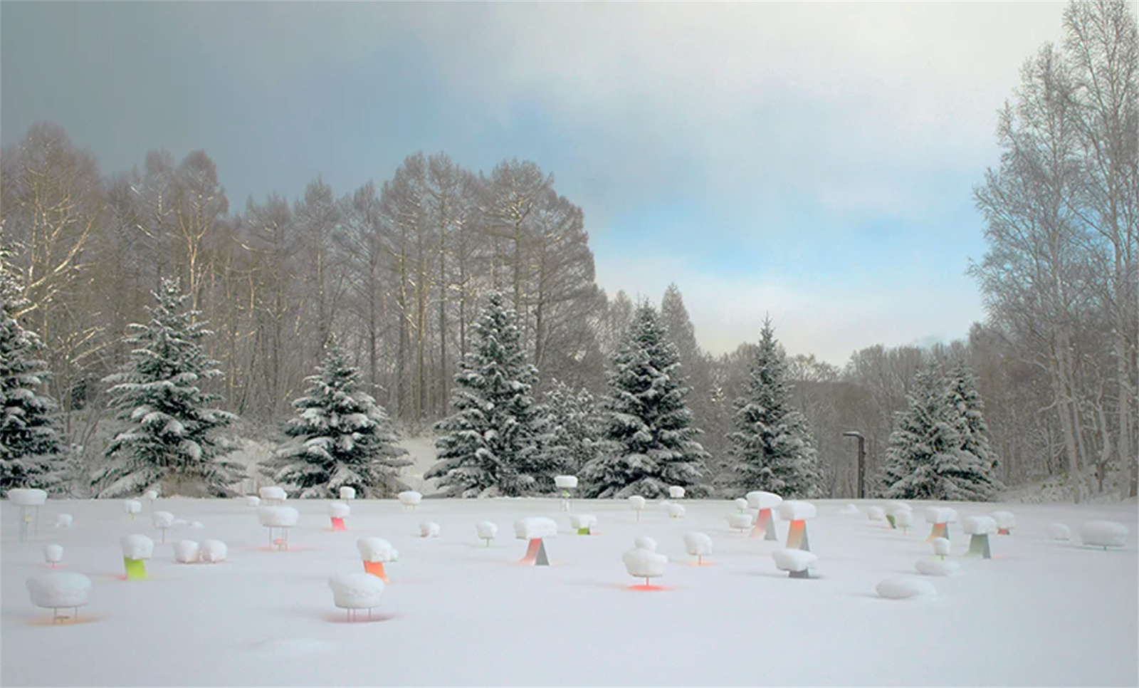 1643277137635003.jpg 05.jpg