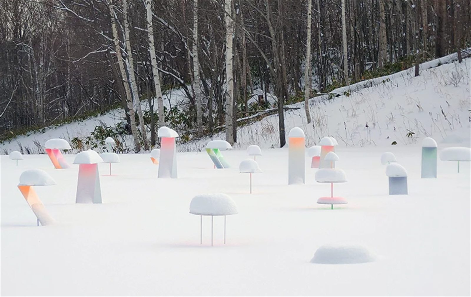 1643277146962923.jpg 06.jpg