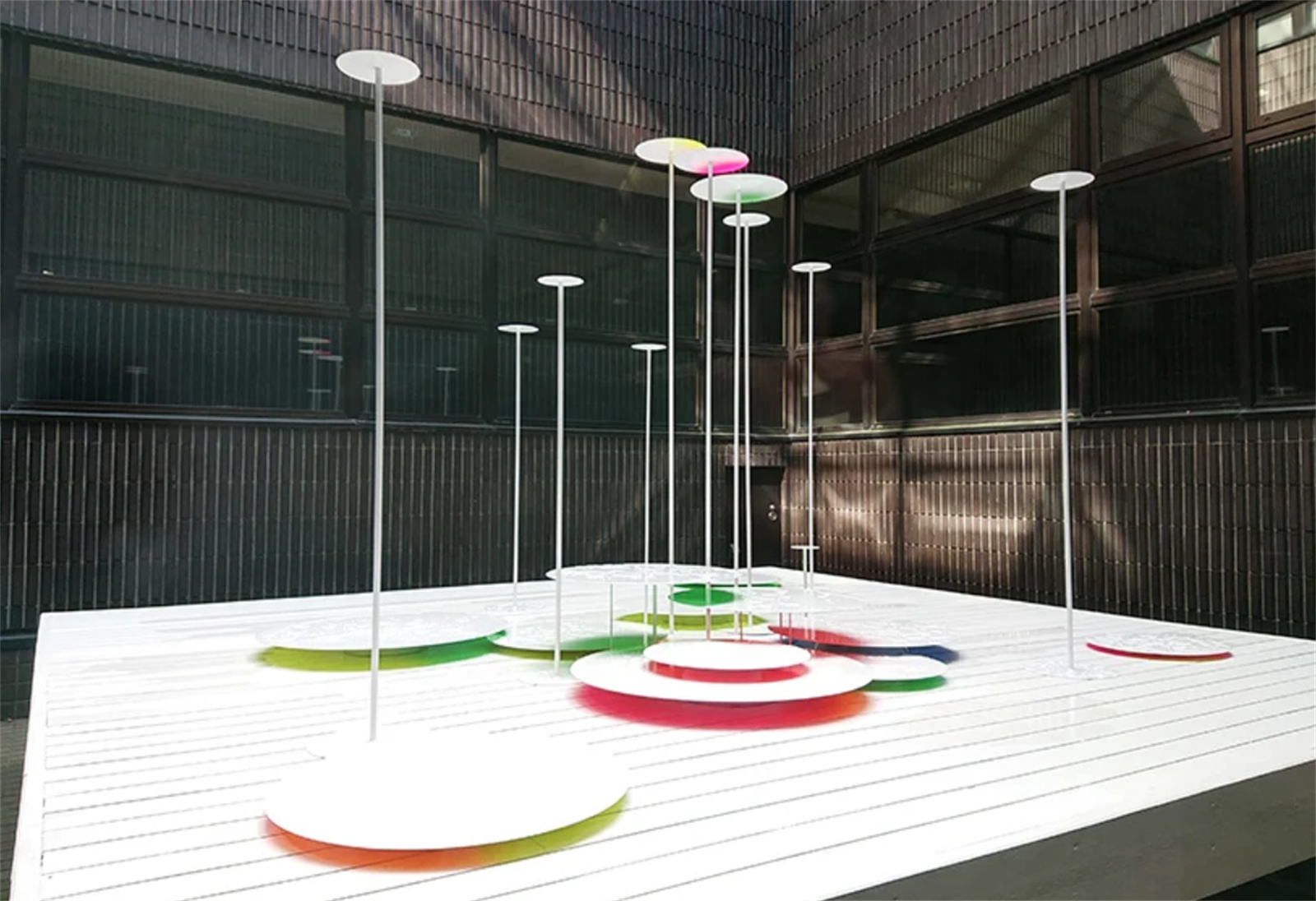 1643277157506226.jpg 07.jpg