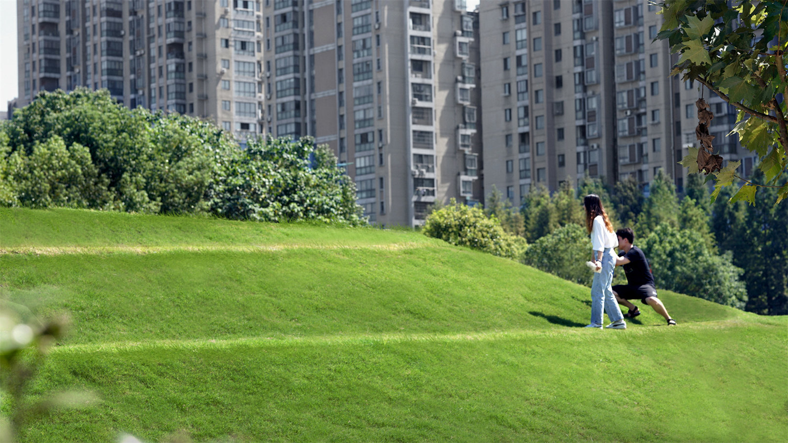 1644489491612773.jpg 34.jpg