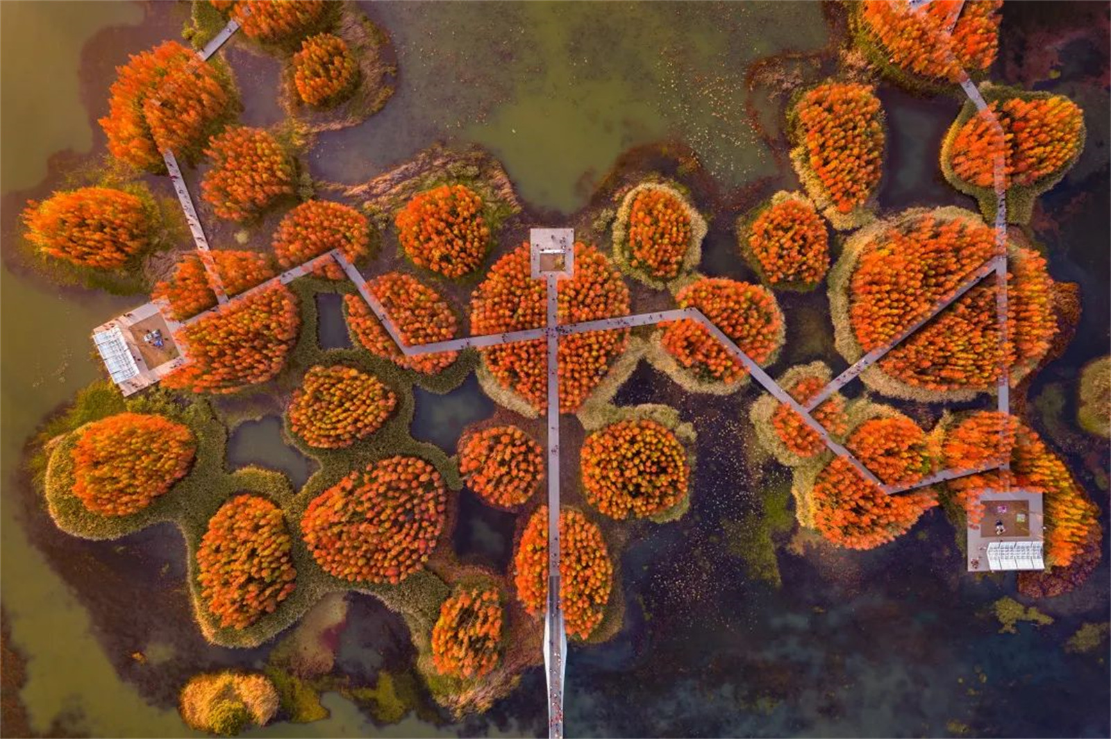 1646918224663236.jpg 1.jpg