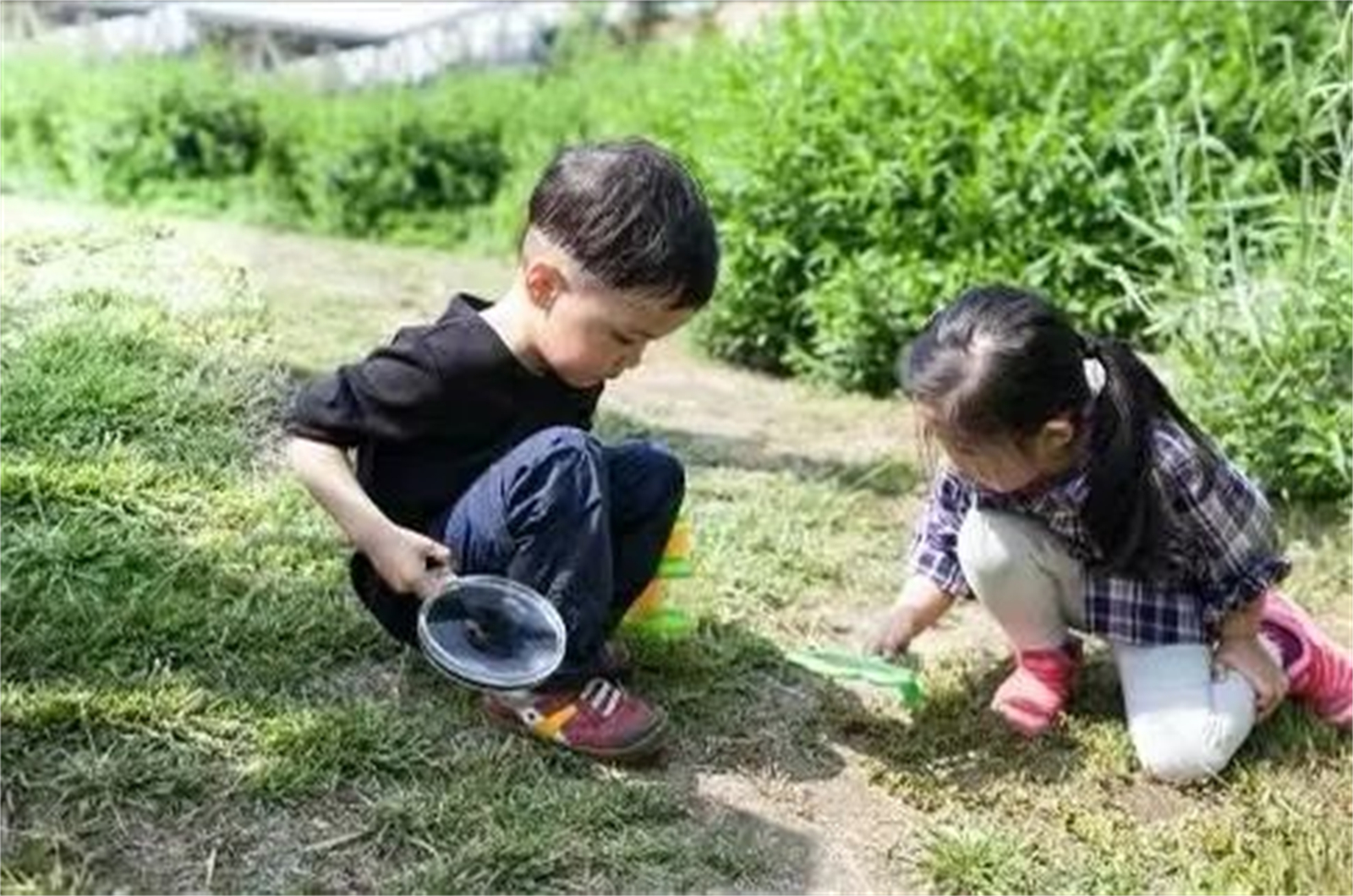 1653921329978992.jpg 5.jpg