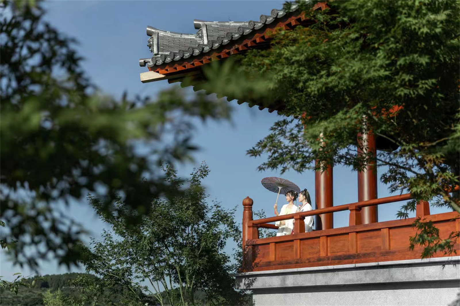 1660898610875633.jpg 07.jpg