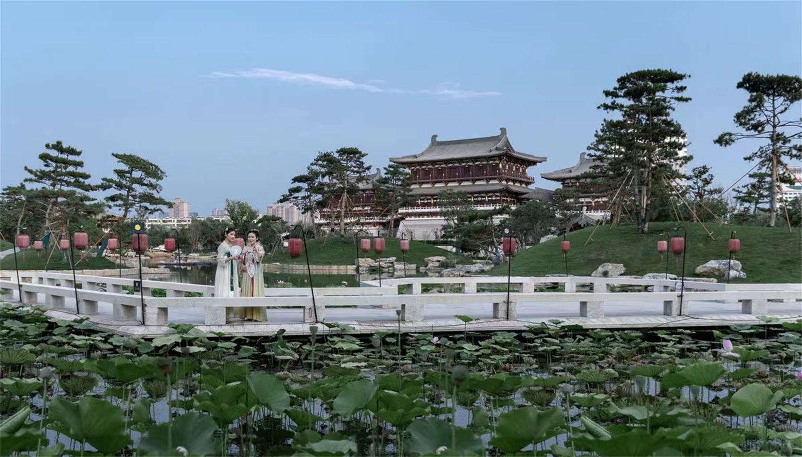 1660898626645310.jpg 08.jpg