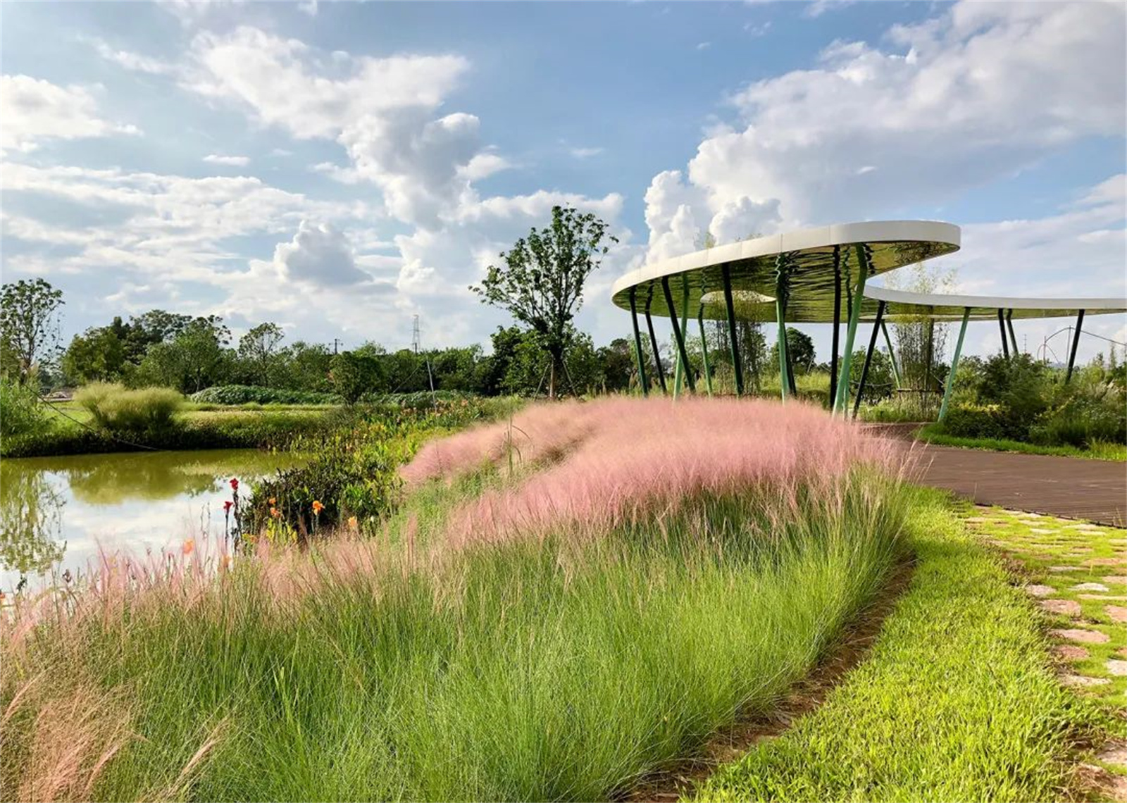 1662527233181894.jpg 19.jpg