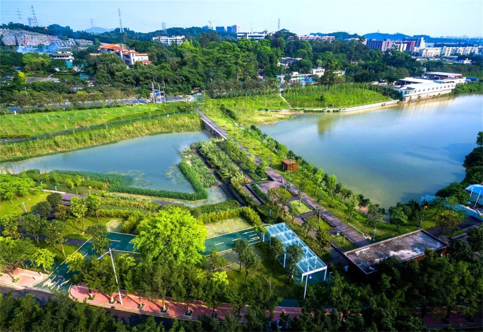 1662527356490530.jpg 29.jpg