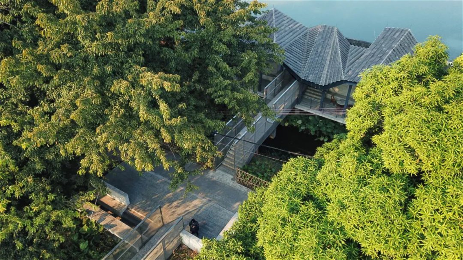 1662527408204034.jpg 34.jpg