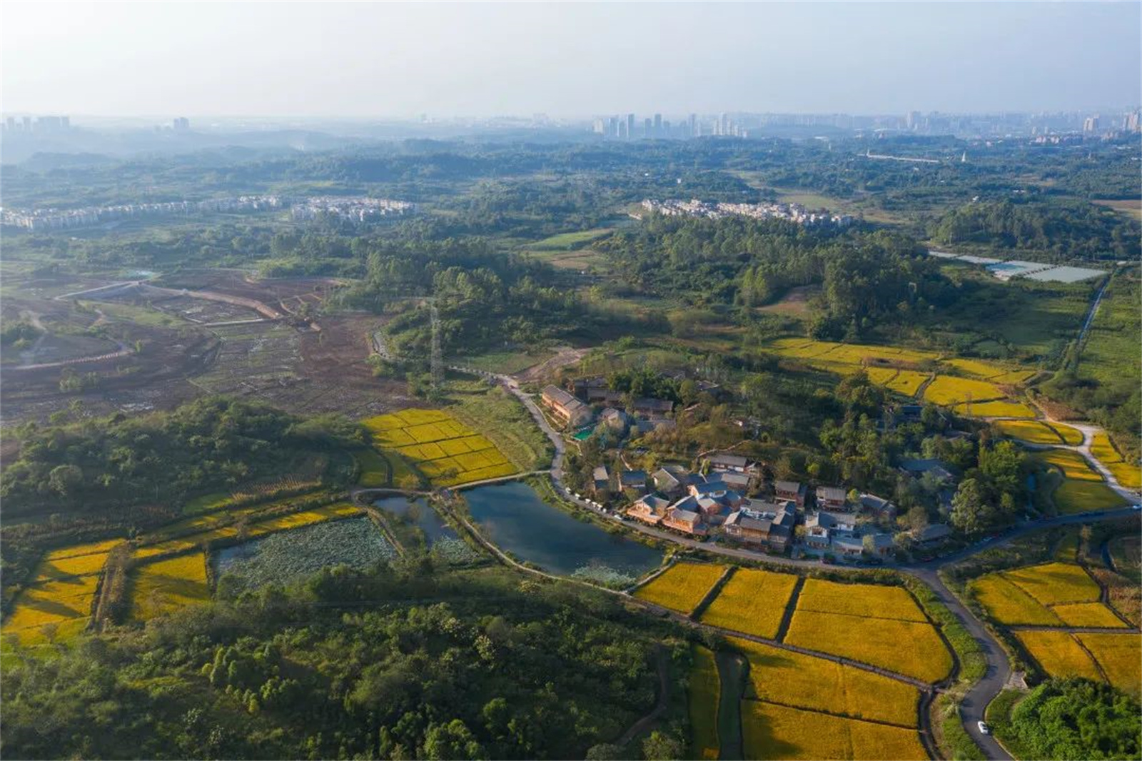 1662527521963884.jpg 39.jpg