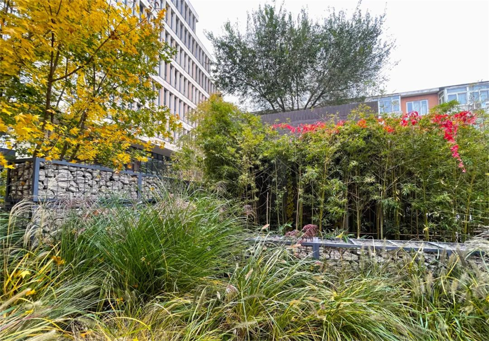 1662527629396812.jpg 46.jpg